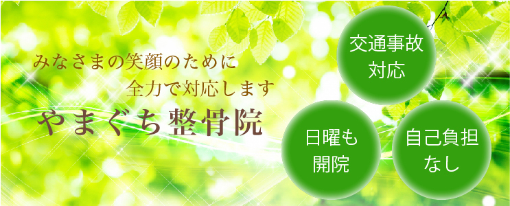 やまぐち整骨院