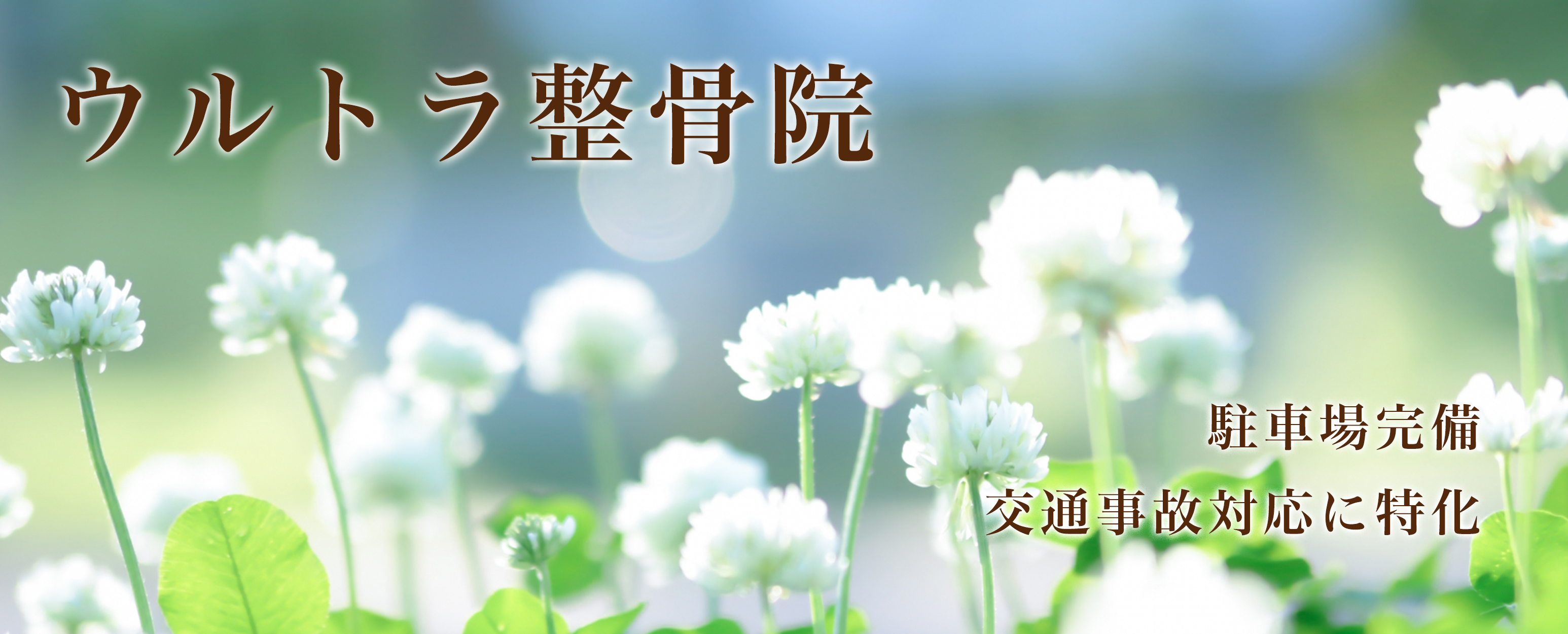 ウルトラ整骨院
